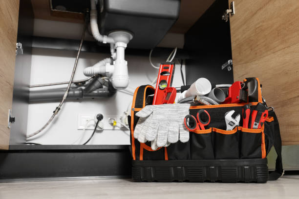 Best Residential Plumbing Services  in Merian, ID